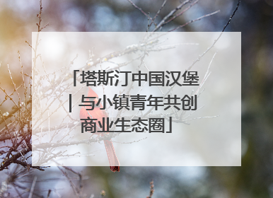 塔斯汀中国汉堡｜与小镇青年共创商业生态圈