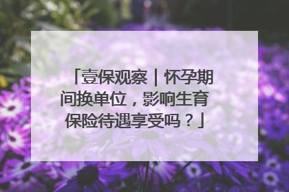 壹保观察｜怀孕期间换单位，影响生育保险待遇享受吗？