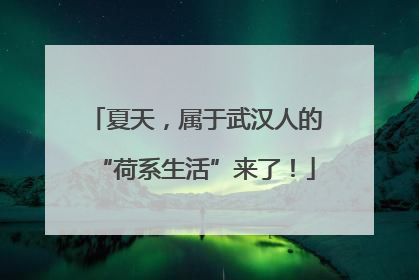 夏天，属于武汉人的“荷系生活”来了！