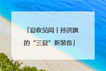 夏收见闻丨孙洪旗的“三夏”新装备