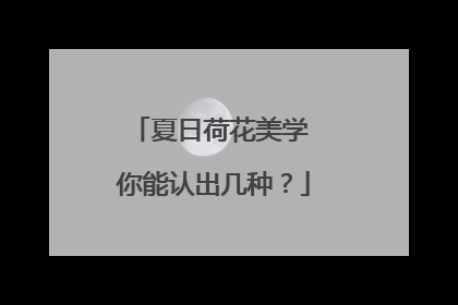 夏日荷花美学 你能认出几种？