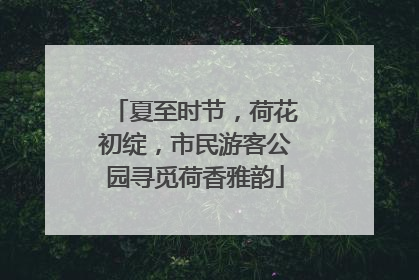 夏至时节，荷花初绽，市民游客公园寻觅荷香雅韵