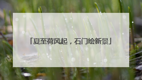 夏至荷风起，石门绘新景