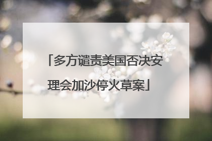 多方谴责美国否决安理会加沙停火草案