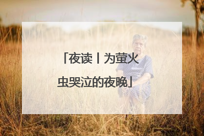 夜读丨为萤火虫哭泣的夜晚