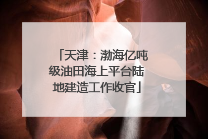 天津：渤海亿吨级油田海上平台陆地建造工作收官