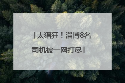 太猖狂！淄博8名司机被一网打尽