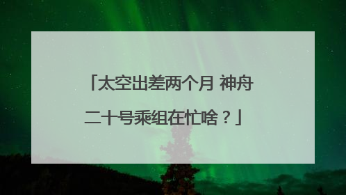 太空出差两个月 神舟二十号乘组在忙啥？