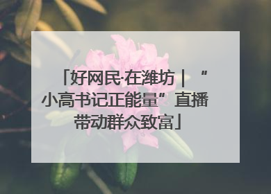 好网民·在潍坊｜“小高书记正能量”直播 带动群众致富