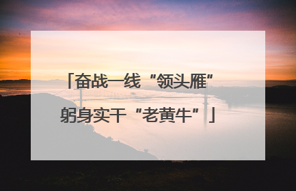 奋战一线“领头雁” 躬身实干“老黄牛”