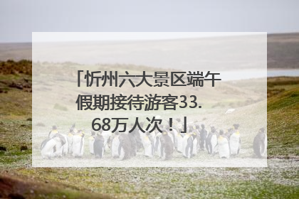 忻州六大景区端午假期接待游客33.68万人次！