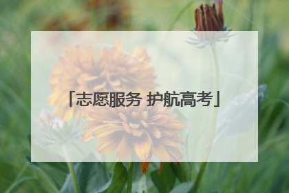 志愿服务 护航高考