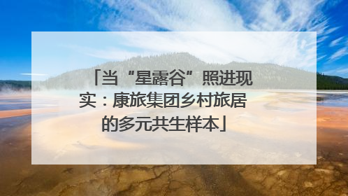 当“星露谷”照进现实：康旅集团乡村旅居的多元共生样本
