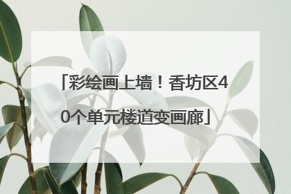 彩绘画上墙！香坊区40个单元楼道变画廊