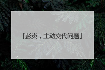 彭炎，主动交代问题