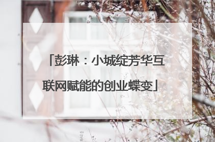 彭琳：小城绽芳华互联网赋能的创业蝶变