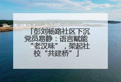 彭刘杨路社区下沉党员易静：语言赋能“老汉味”，架起社校“共建桥”