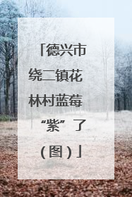 德兴市绕二镇花林村蓝莓“紫”了（图）