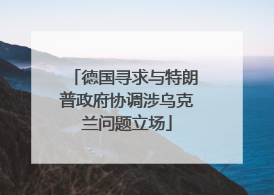 德国寻求与特朗普政府协调涉乌克兰问题立场