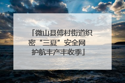 微山县傅村街道织密“三夏”安全网 护航丰产丰收季