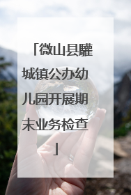 微山县驩城镇公办幼儿园开展期末业务检查