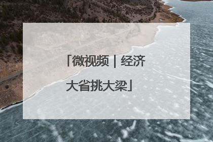 微视频｜经济大省挑大梁