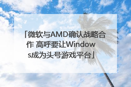 微软与AMD确认战略合作 高呼要让Windows成为头号游戏平台