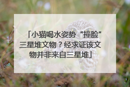 小猫喝水姿势“撞脸”三星堆文物？经求证该文物并非来自三星堆