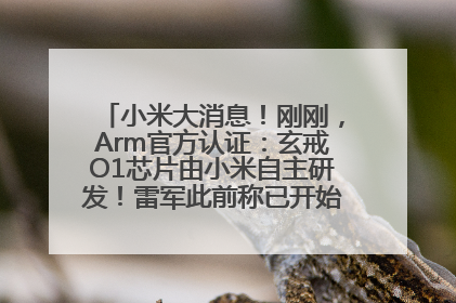 小米大消息！刚刚，Arm官方认证：玄戒O1芯片由小米自主研发！雷军此前称已开始大规模量产