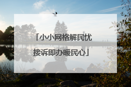 小小网格解民忧 接诉即办暖民心