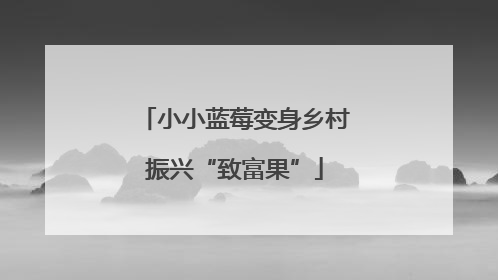 小小蓝莓变身乡村振兴“致富果”