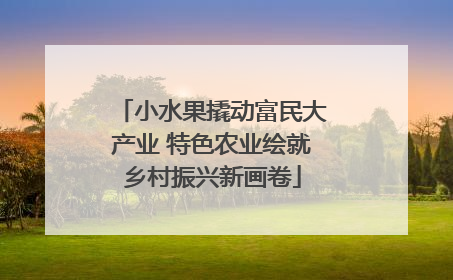 小水果撬动富民大产业 特色农业绘就乡村振兴新画卷