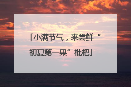 小满节气，来尝鲜“初夏第一果”枇杷