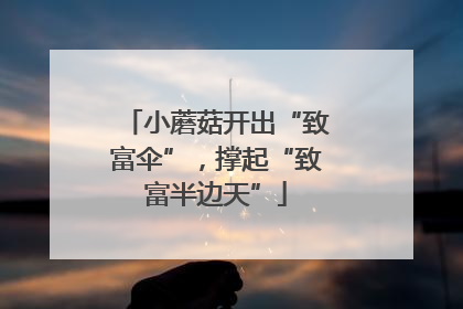 小蘑菇开出“致富伞”，撑起“致富半边天”