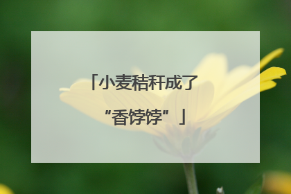小麦秸秆成了“香饽饽”