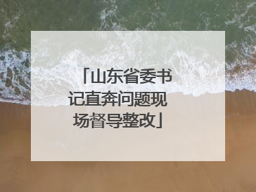 山东省委书记直奔问题现场督导整改