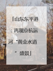 山东东平港：再现京杭运河“黄金水道”盛景