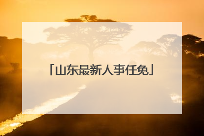 山东最新人事任免