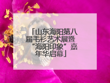 山东海阳第八届毛衫艺术展暨“海阳印象”嘉年华启幕