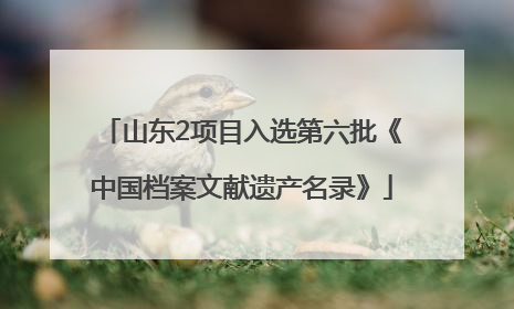 山东2项目入选第六批《中国档案文献遗产名录》