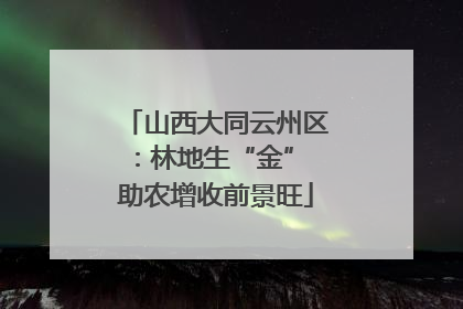 山西大同云州区：林地生“金” 助农增收前景旺