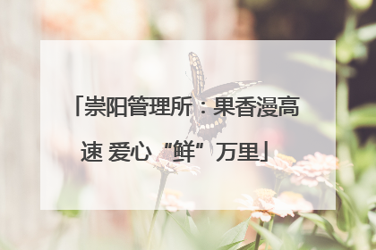 崇阳管理所：果香漫高速 爱心“鲜”万里