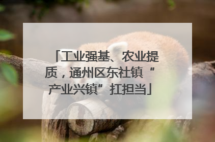 工业强基、农业提质，通州区东社镇“产业兴镇”扛担当