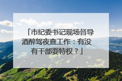 市纪委书记现场督导酒醉驾夜查工作：有没有干部耍特权？