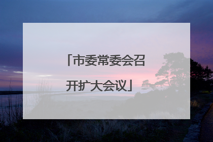 市委常委会召开扩大会议