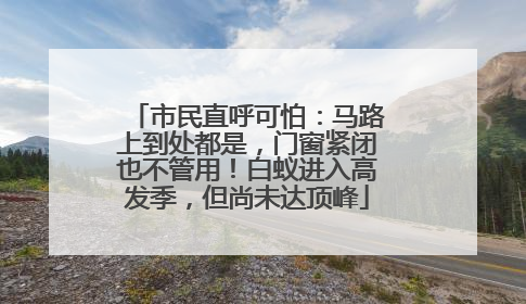 市民直呼可怕：马路上到处都是，门窗紧闭也不管用！白蚁进入高发季，但尚未达顶峰