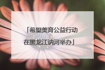 希望美育公益行动在黑龙江讷河举办