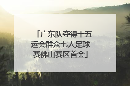 广东队夺得十五运会群众七人足球赛佛山赛区首金