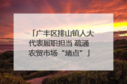 广丰区排山镇人大代表履职担当 疏通农贸市场“堵点”