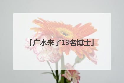广水来了13名博士